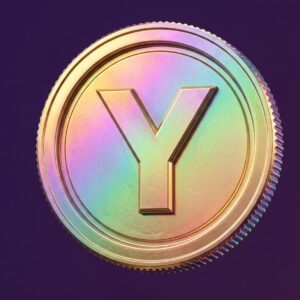 חבילה בסיסית - תשלום חודשי (2000 YazCoins)
