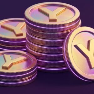 חבילה מתקדמת – תשלום חודשי (4000 YazCoins)